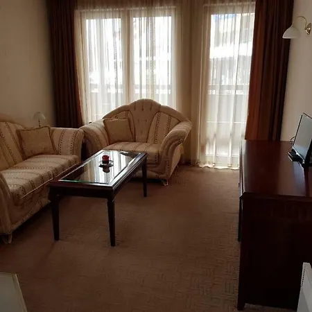 Apartment In Downtown Complex